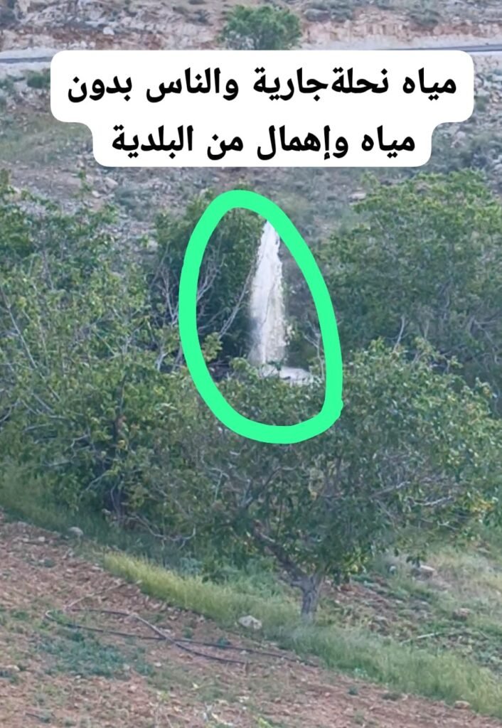 نحلة أزمة مياه رغم الخير